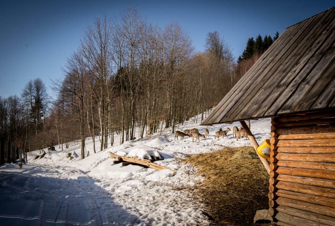 Apartamenty Romanowka Raszow Buitenkant foto